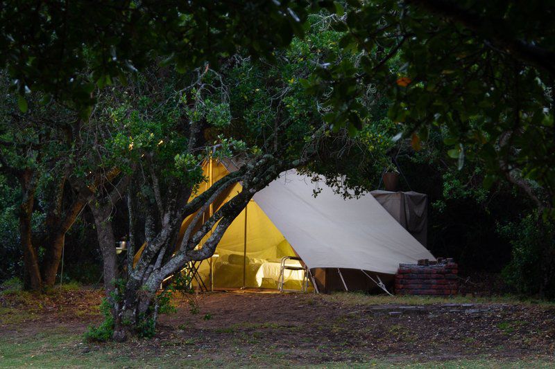 Gamtoos River Mouth Camp And Glam Camp Hankey Eastern Cape South Africa Tent, Architecture