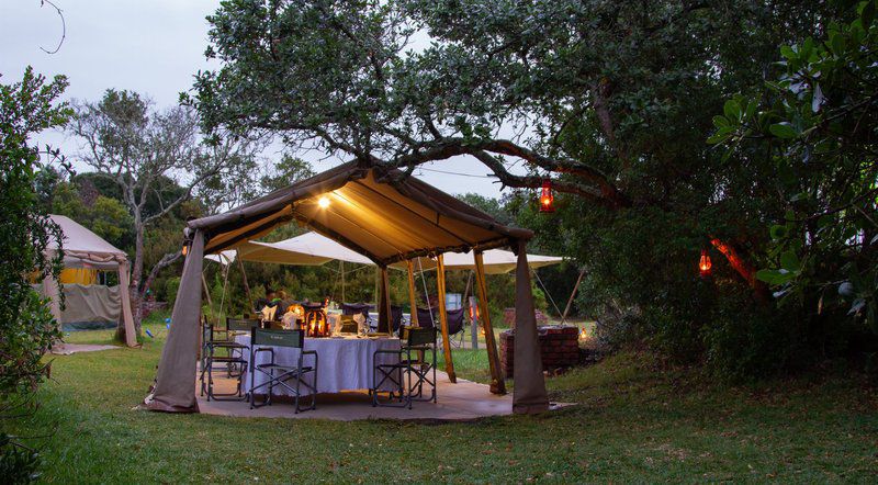 Gamtoos River Mouth Camp And Glam Camp Hankey Eastern Cape South Africa Tent, Architecture