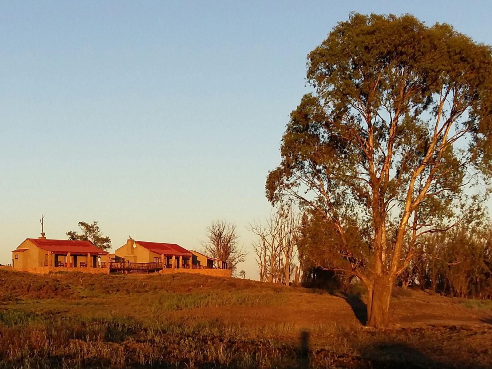 Gannabos Guest Lodge Venterstad Eastern Cape South Africa Complementary Colors, Building, Architecture, Field, Nature, Agriculture, Tree, Plant, Wood, Lowland