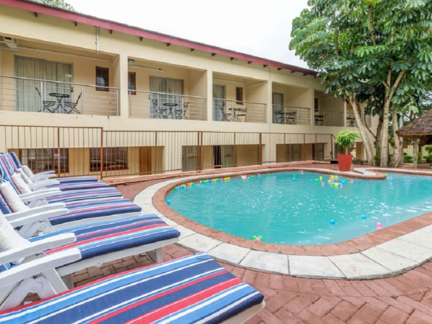 Gannet Place Guest House, House, Building, Architecture, Palm Tree, Plant, Nature, Wood, Swimming Pool