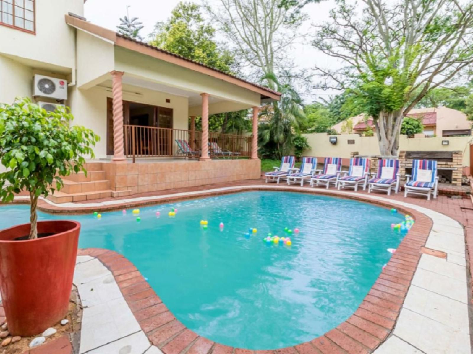 Gannet Place Guest House, House, Building, Architecture, Palm Tree, Plant, Nature, Wood, Swimming Pool