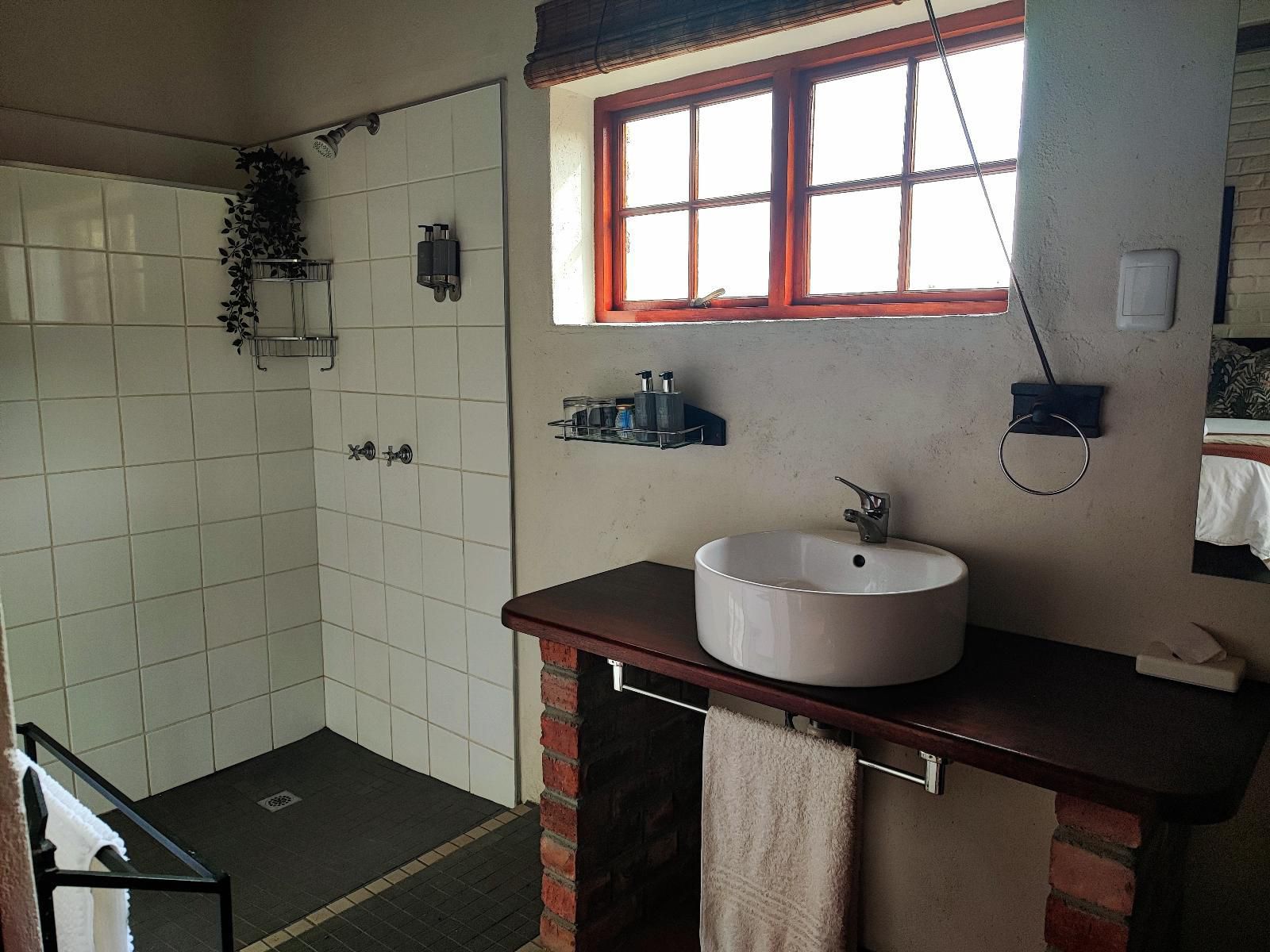 Ganora Guest Farm And Excursions Nieu Bethesda Eastern Cape South Africa Unsaturated, Bathroom