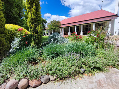 Ganora Guest Farm And Excursions Nieu Bethesda Eastern Cape South Africa Complementary Colors, House, Building, Architecture, Plant, Nature, Garden