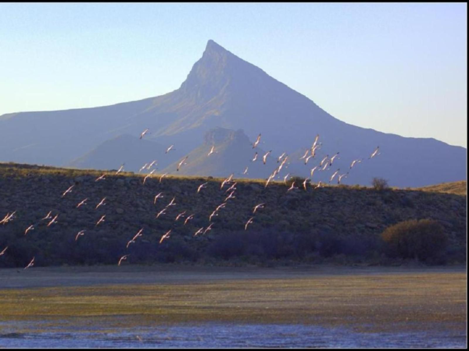 Ganora Guest Farm And Excursions Nieu Bethesda Eastern Cape South Africa Mountain, Nature