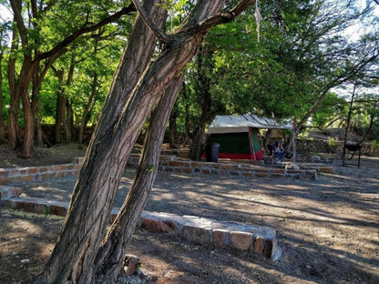 Bush Caravan Camp Site @ Ganora Guest Farm And Excursions