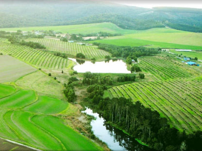 Ganse See, Field, Nature, Agriculture