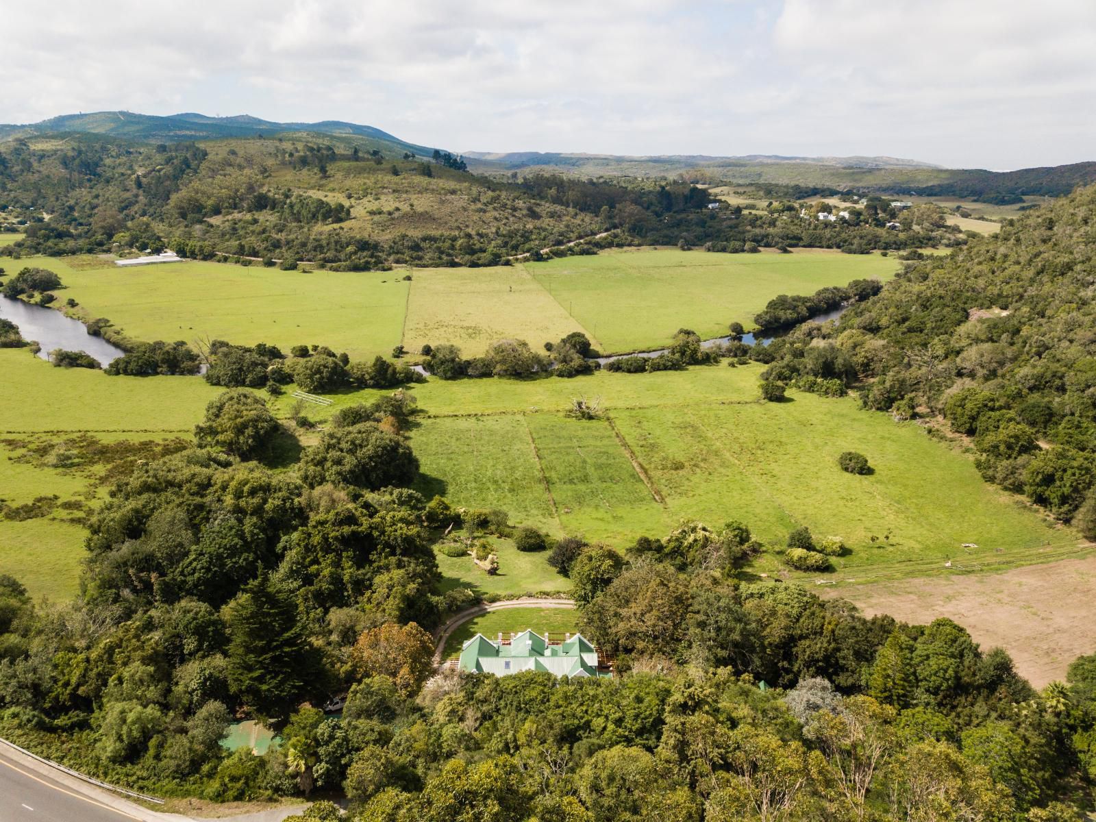 Ganzvlei Manor Knysna Western Cape South Africa Highland, Nature