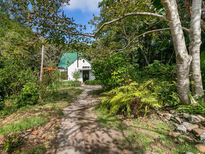 Ganzvlei Manor Knysna Western Cape South Africa House, Building, Architecture