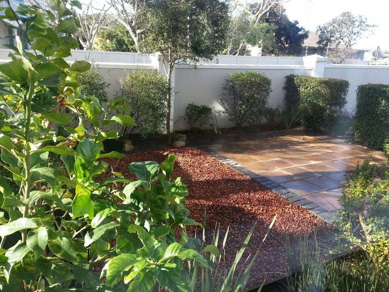 Garden Apartment In Rondebosch Mowbray Cape Town Western Cape South Africa Palm Tree, Plant, Nature, Wood, Garden