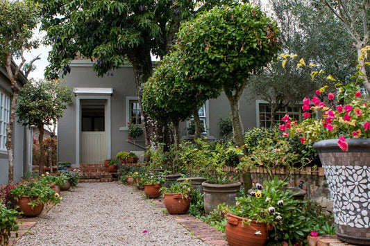 Garden Cottage Port Alfred Eastern Cape South Africa House, Building, Architecture, Plant, Nature, Garden