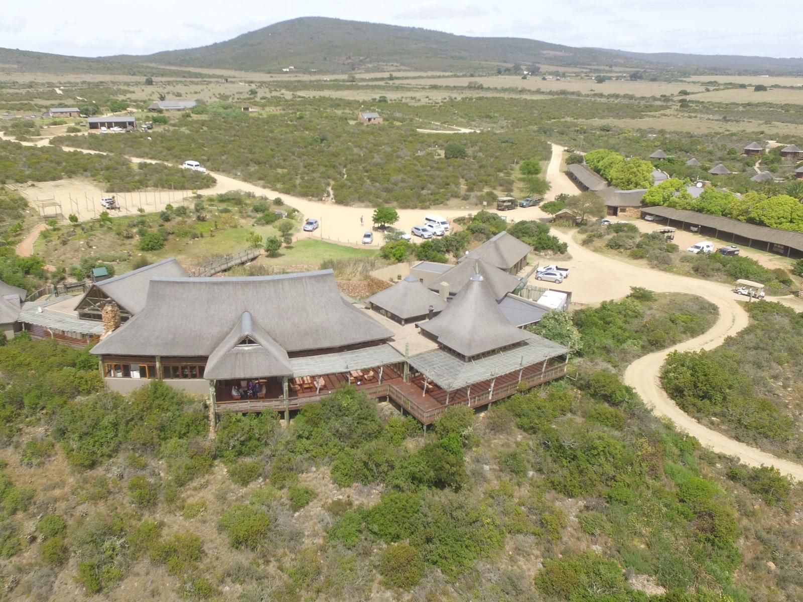 Garden Route Game Lodge Albertinia Western Cape South Africa 