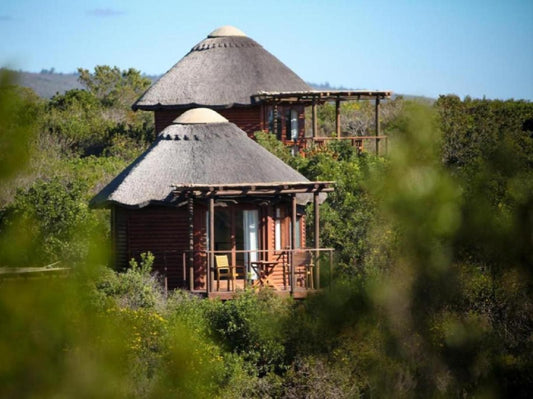 Garden Route Game Lodge Albertinia Western Cape South Africa Complementary Colors, Building, Architecture