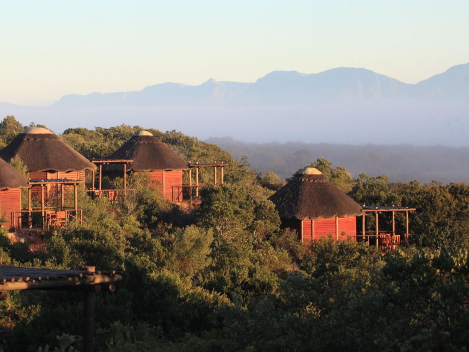 Garden Route Game Lodge Albertinia Western Cape South Africa 