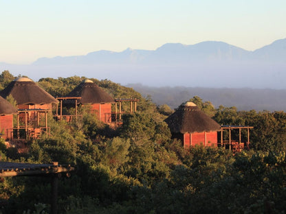 Garden Route Game Lodge Albertinia Western Cape South Africa 