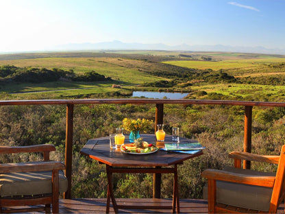 Garden Route Game Lodge Albertinia Western Cape South Africa 