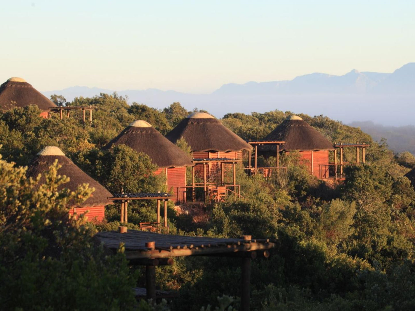 Garden Route Game Lodge Albertinia Western Cape South Africa 