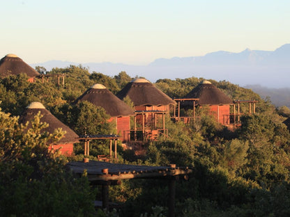 Garden Route Game Lodge Albertinia Western Cape South Africa 