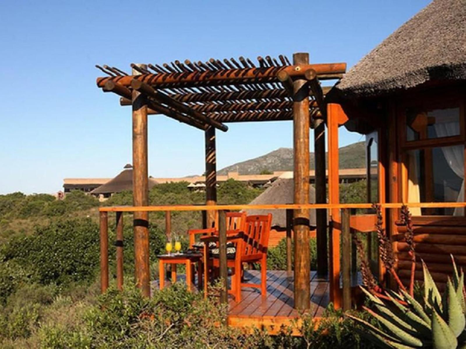 Garden Route Game Lodge Albertinia Western Cape South Africa Complementary Colors