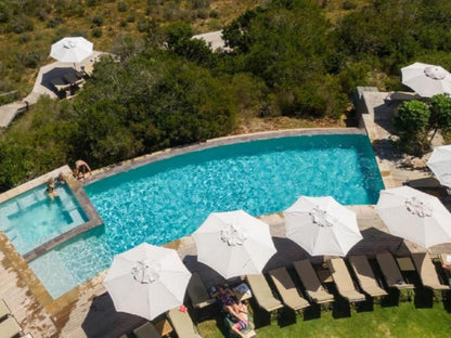 Garden Route Game Lodge Albertinia Western Cape South Africa Complementary Colors, Swimming Pool