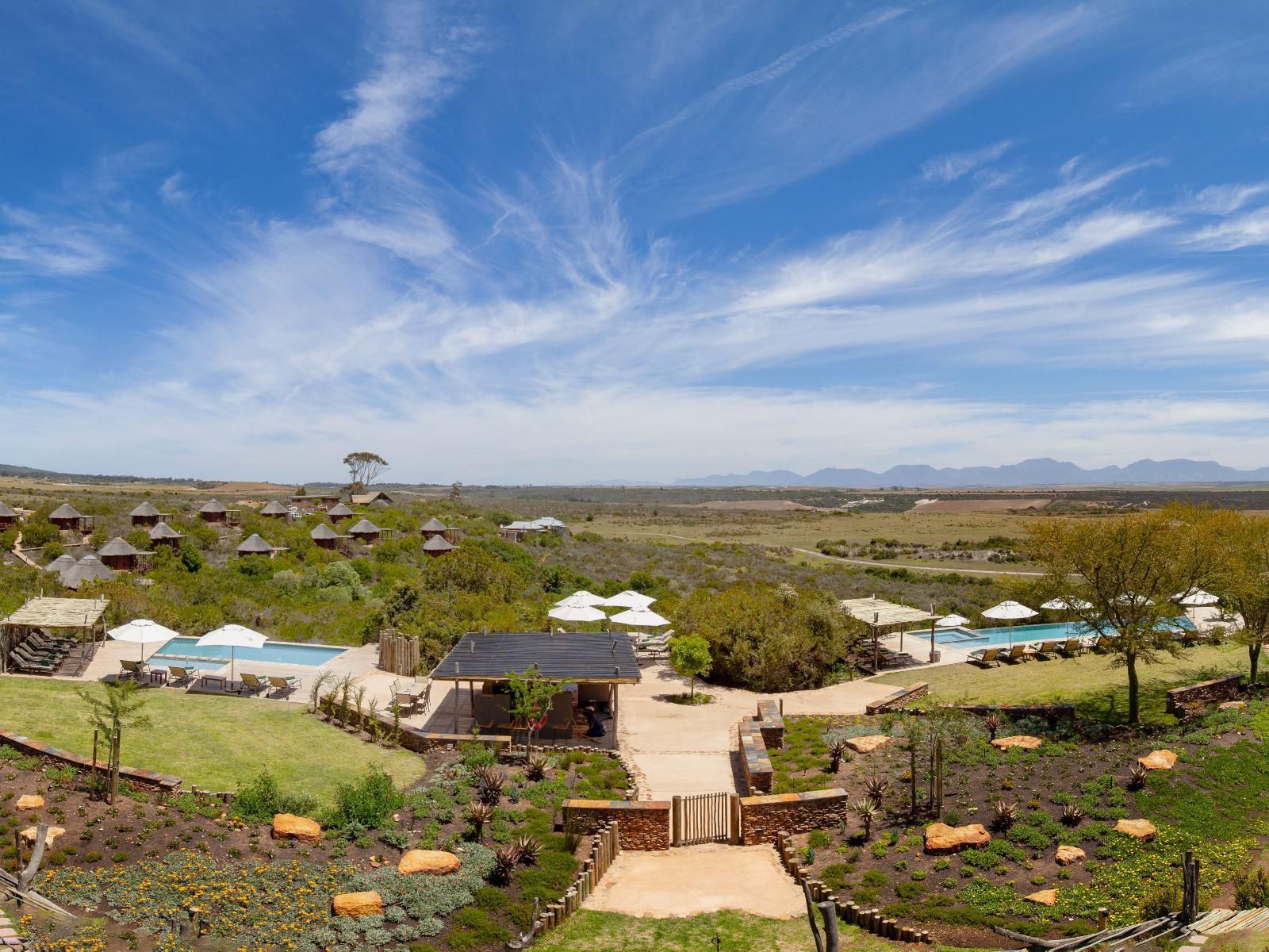 Garden Route Game Lodge Albertinia Western Cape South Africa Complementary Colors, Desert, Nature, Sand