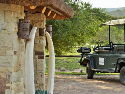 Garden Route Safari Camp Brandwacht Western Cape South Africa 
