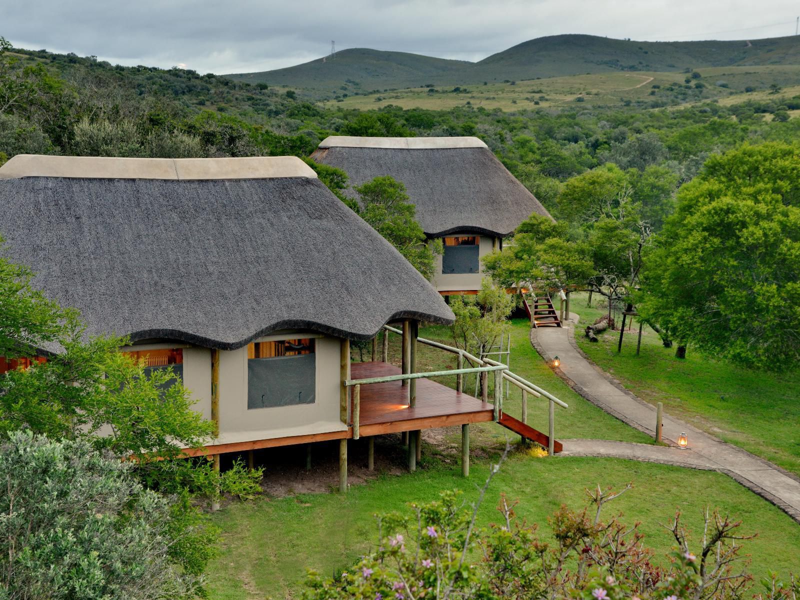 Garden Route Safari Camp Brandwacht Western Cape South Africa Highland, Nature