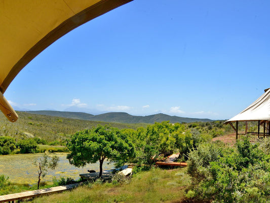 Garden Route Safari Camp Brandwacht Western Cape South Africa Complementary Colors, Colorful, Boat, Vehicle, Nature