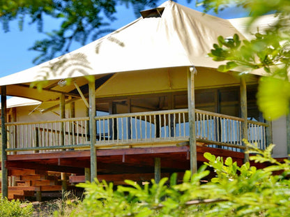 Hide Away Tented Camp @ Garden Route Safari Camp