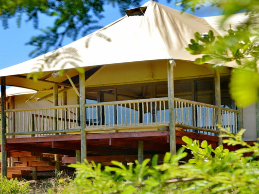 Hide Away Tented Camp @ Garden Route Safari Camp