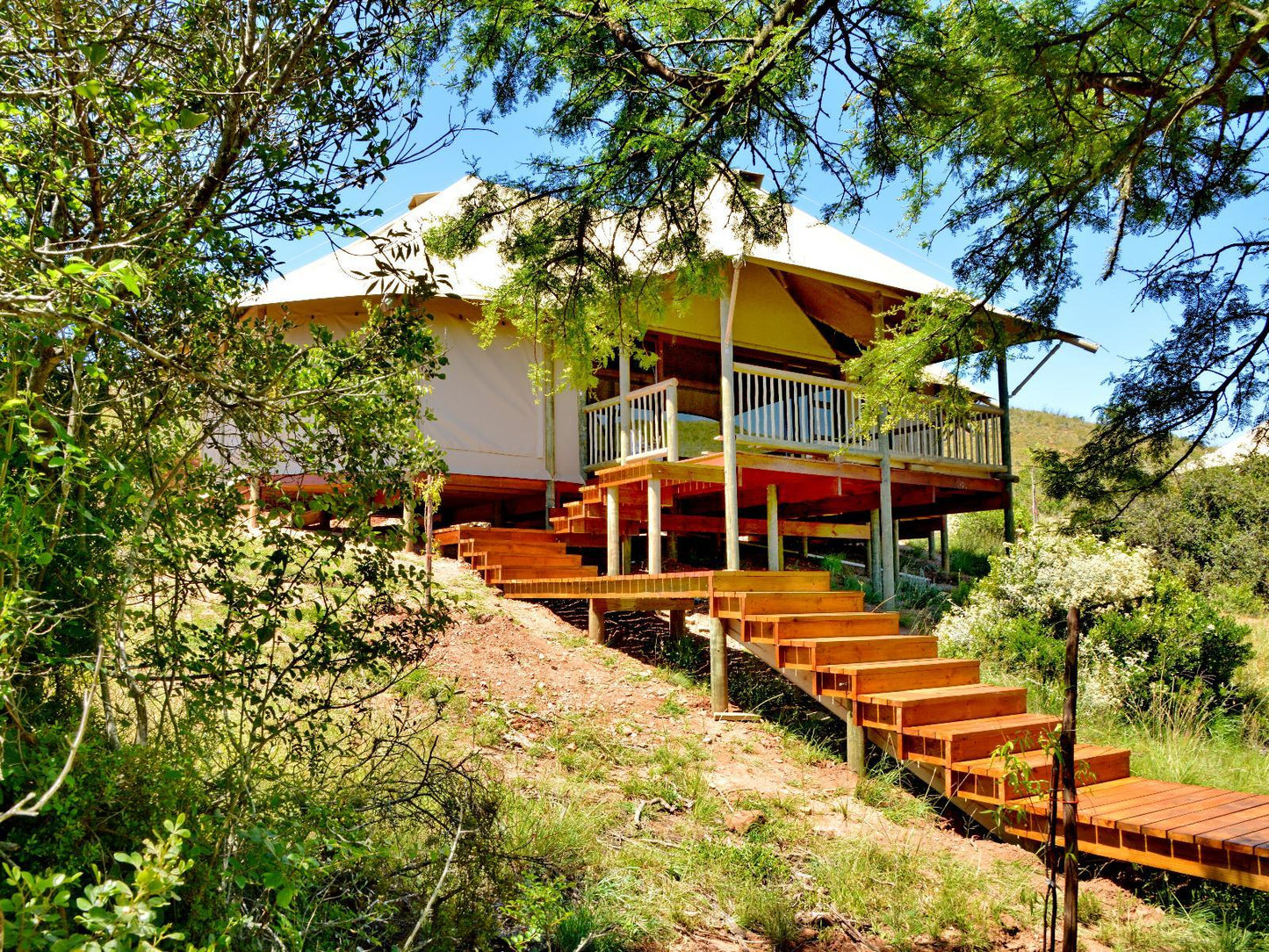 Hide Away Tented Camp @ Garden Route Safari Camp