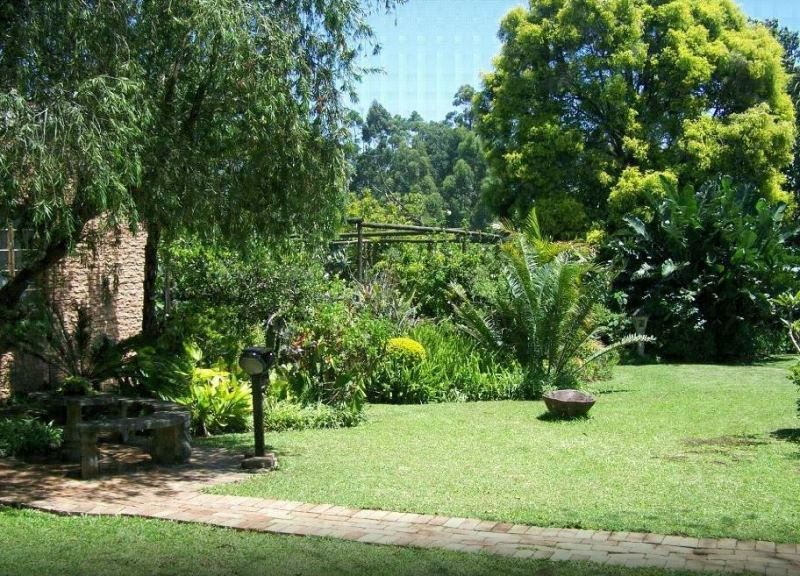 Garden Lodge Eshowe Kwazulu Natal South Africa Palm Tree, Plant, Nature, Wood, Garden