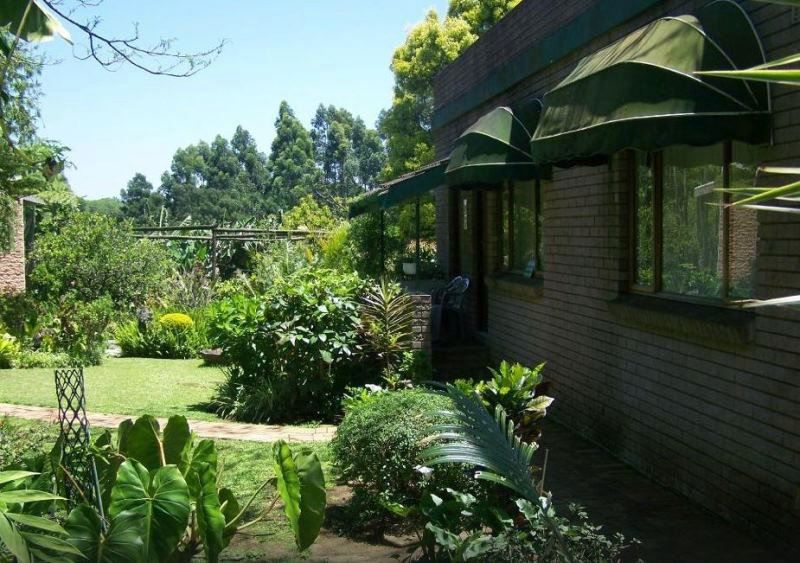 Garden Lodge Eshowe Kwazulu Natal South Africa Palm Tree, Plant, Nature, Wood, Garden