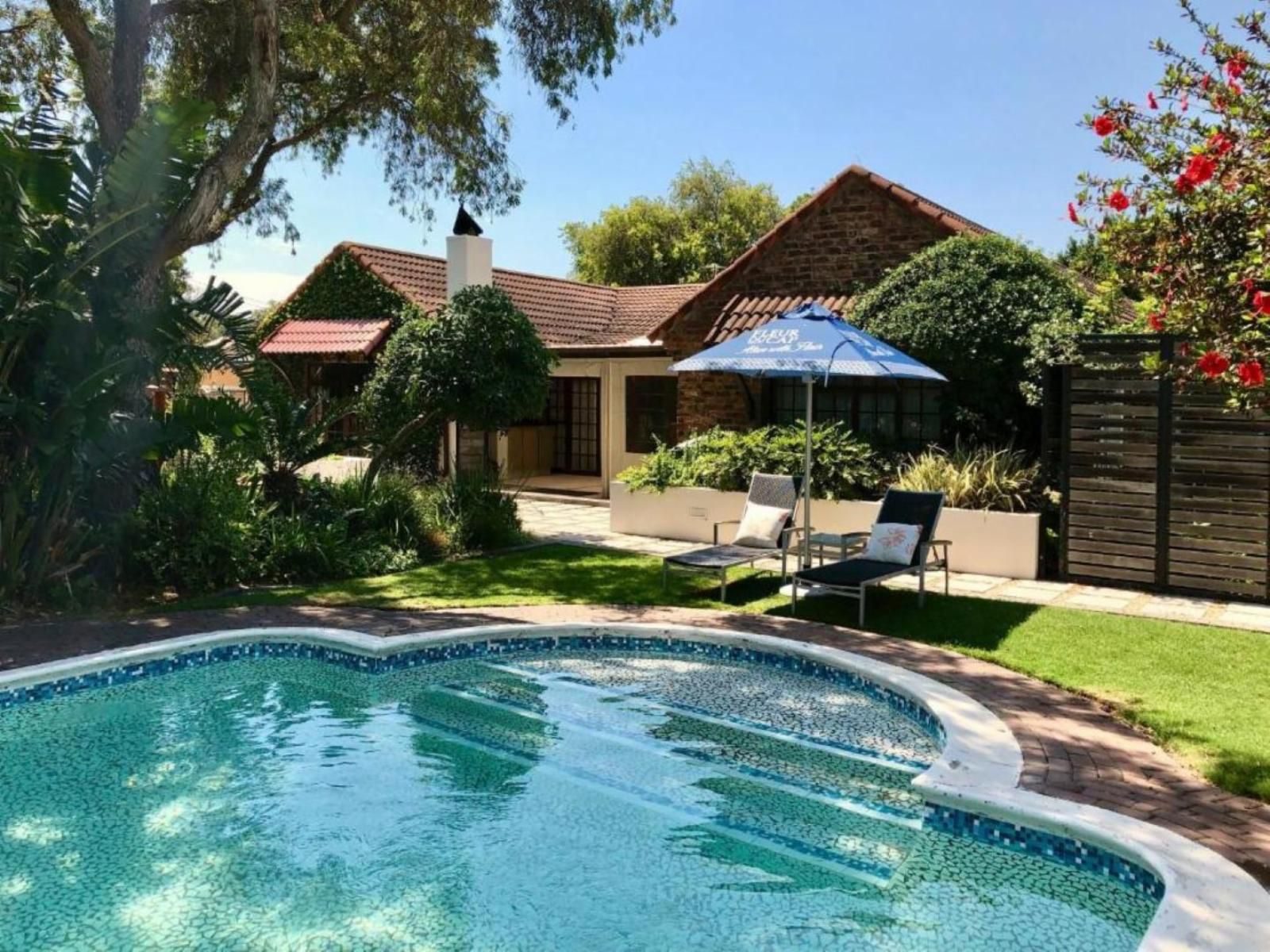 Gardenview Guest House Walmer Port Elizabeth Eastern Cape South Africa Complementary Colors, House, Building, Architecture, Palm Tree, Plant, Nature, Wood, Garden, Swimming Pool