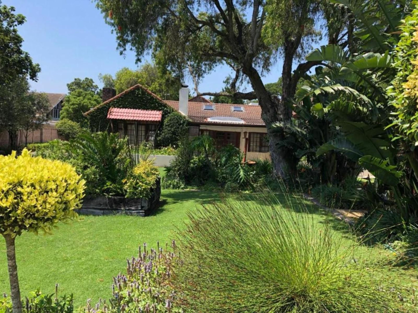 Gardenview Guest House Walmer Port Elizabeth Eastern Cape South Africa House, Building, Architecture, Palm Tree, Plant, Nature, Wood, Garden