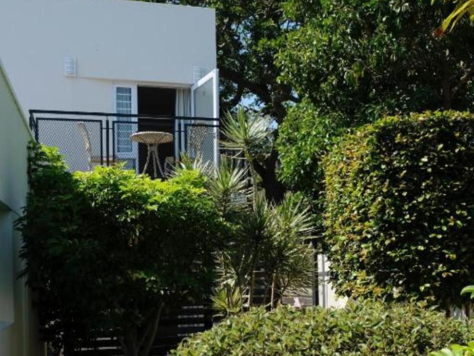 Gardenview Guest House Walmer Port Elizabeth Eastern Cape South Africa House, Building, Architecture, Palm Tree, Plant, Nature, Wood, Garden