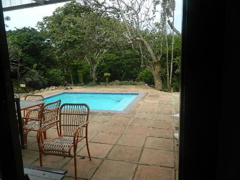 Garland Rd Salt Rock Ballito Kwazulu Natal South Africa Palm Tree, Plant, Nature, Wood, Garden, Swimming Pool