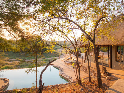 Garonga Safari Camp Makalali Private Game Reserve Mpumalanga South Africa Autumn, Nature