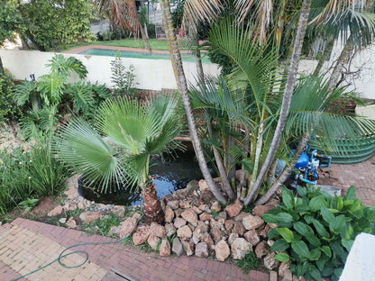 Garrett Guest House Sinoville Pretoria Tshwane Gauteng South Africa Palm Tree, Plant, Nature, Wood, Garden