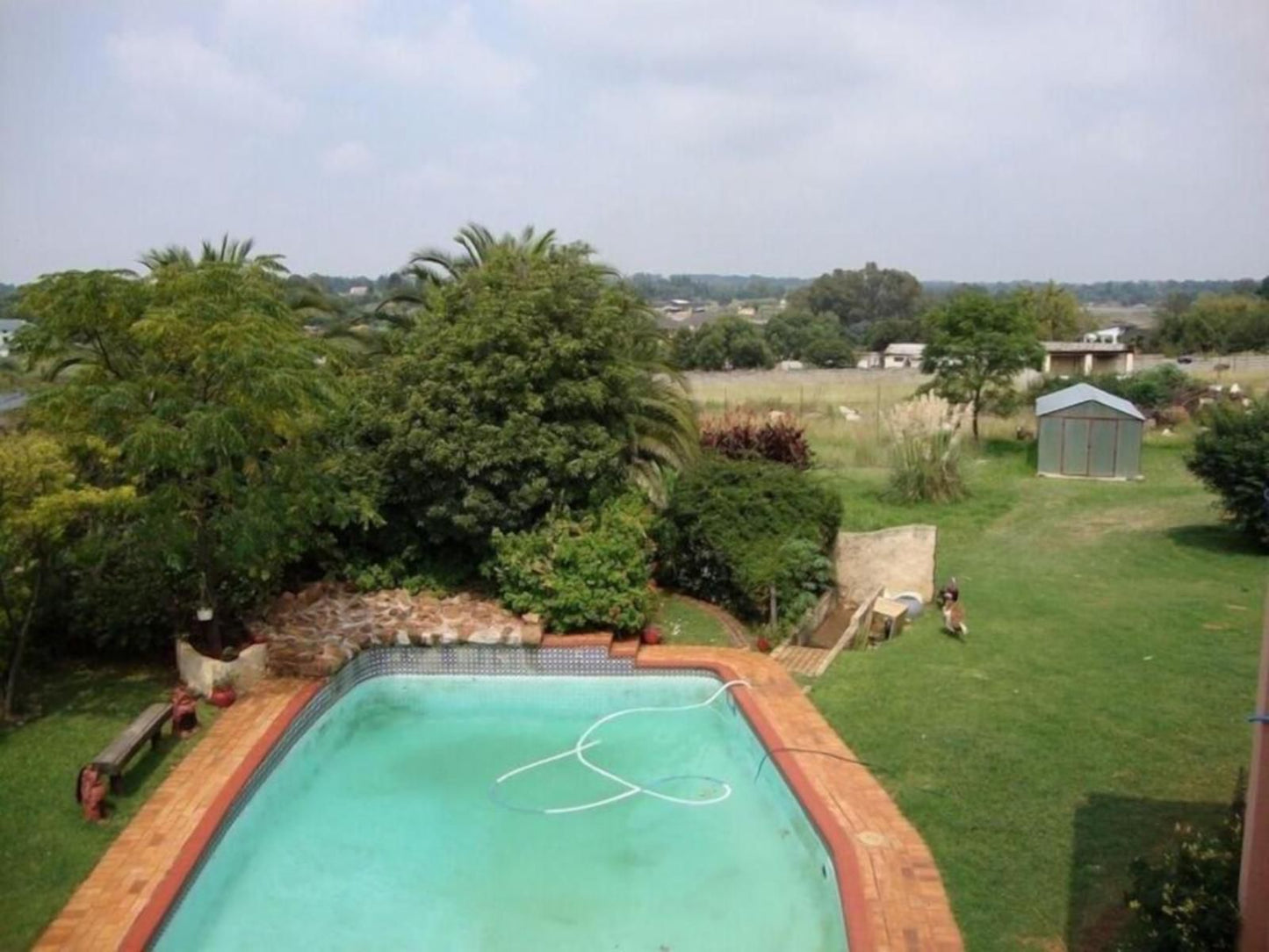 Gateway Guest House Nortons Home Estates Johannesburg Gauteng South Africa Complementary Colors, Palm Tree, Plant, Nature, Wood, Garden, Swimming Pool