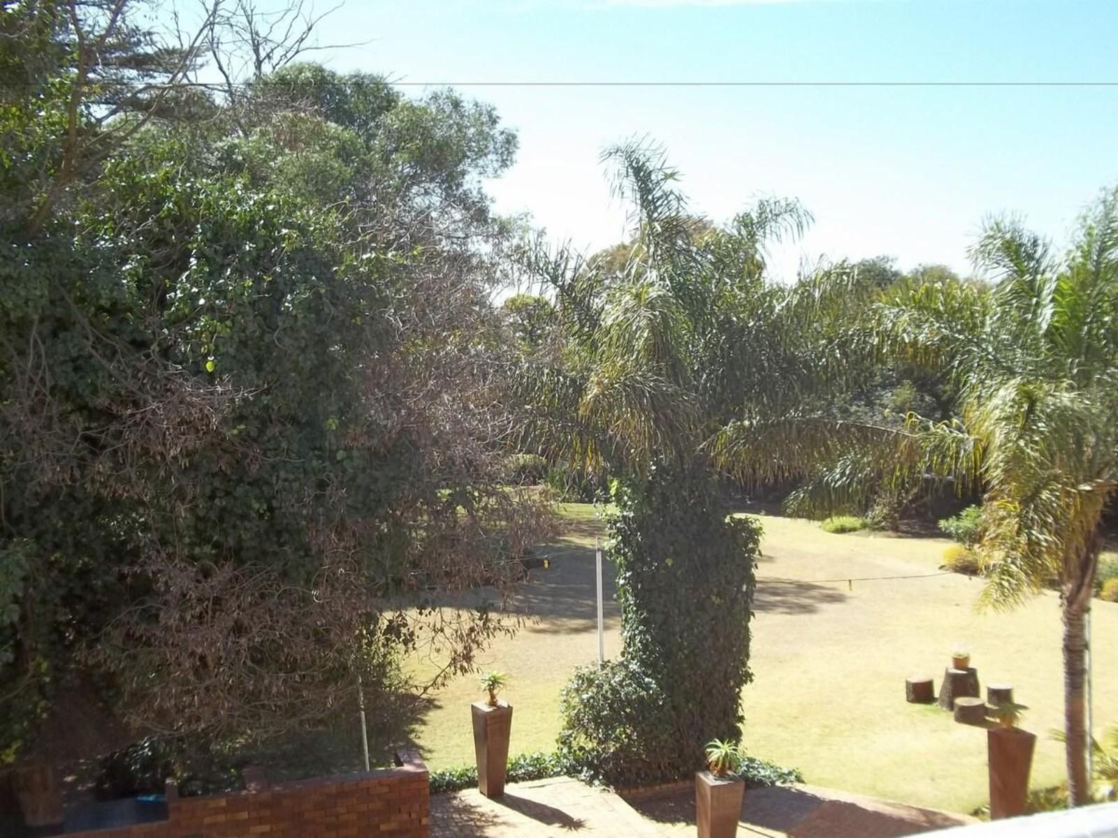 The Gateway Hotel Germiston Johannesburg Gauteng South Africa Palm Tree, Plant, Nature, Wood, Garden