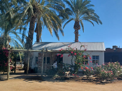 Gazelle Estate Kakamas Northern Cape South Africa Palm Tree, Plant, Nature, Wood