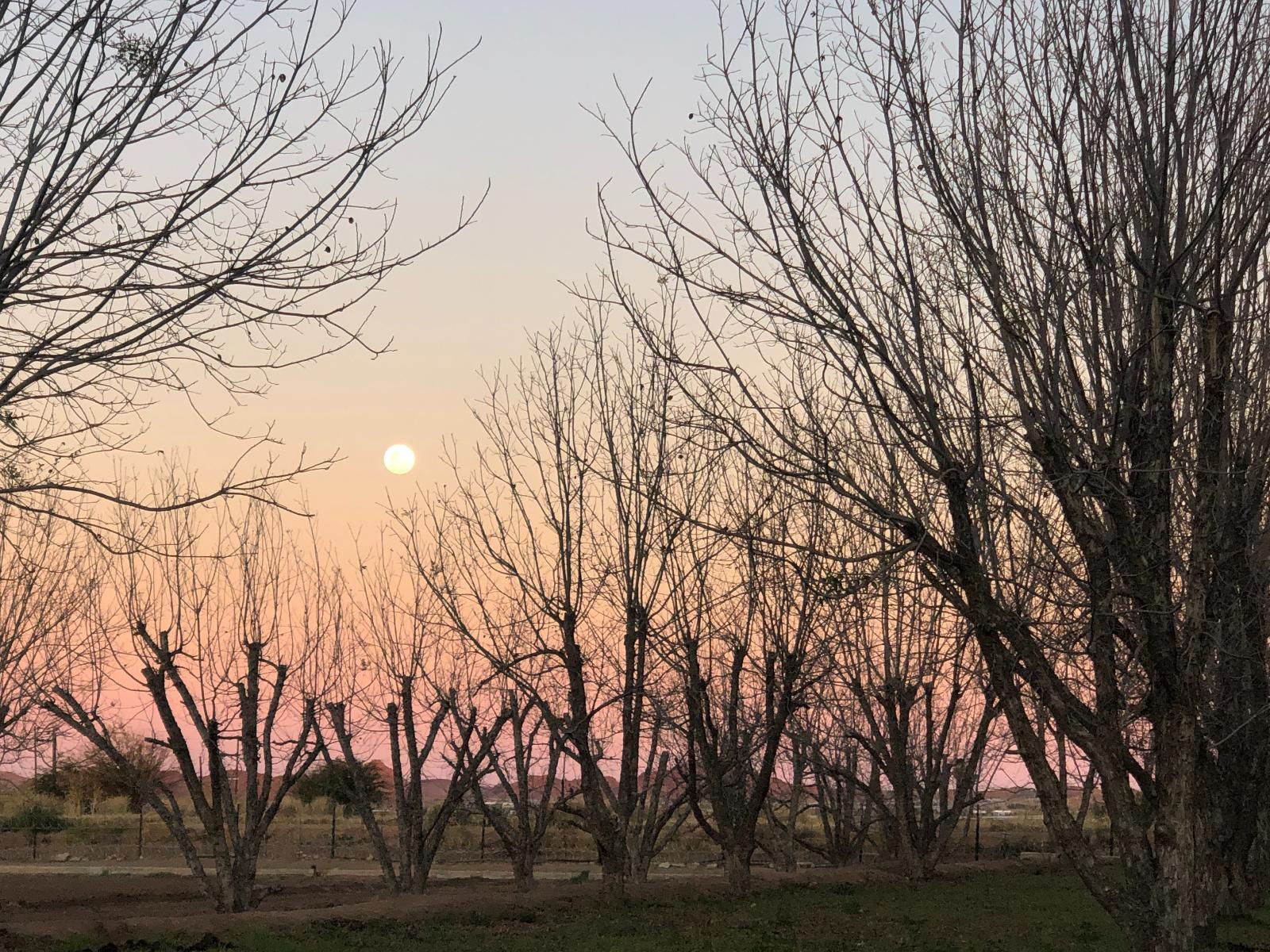 Gazelle Estate Kakamas Northern Cape South Africa Lowland, Nature, Sunset, Sky