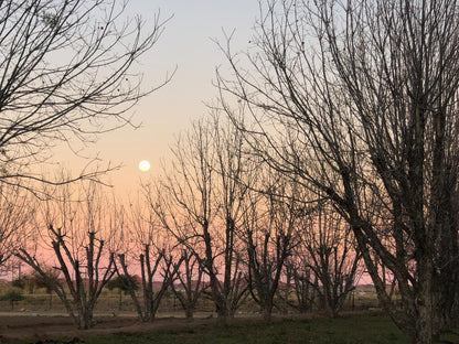 Gazelle Estate Kakamas Northern Cape South Africa Lowland, Nature, Sunset, Sky