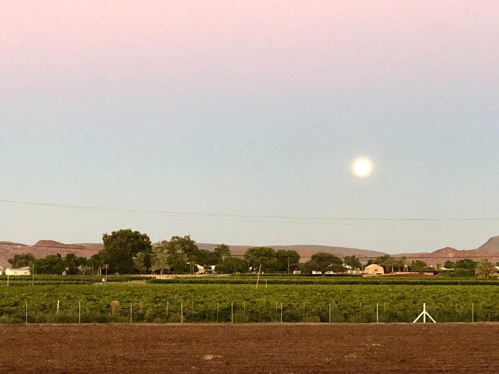 Gazelle Estate Kakamas Northern Cape South Africa Field, Nature, Agriculture, Lowland, Moon