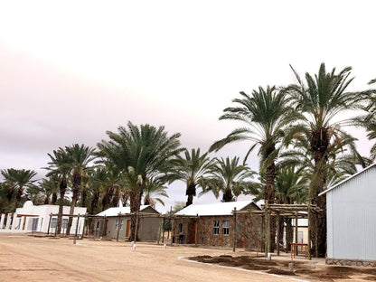 Gazelle Estate Kakamas Northern Cape South Africa Palm Tree, Plant, Nature, Wood, Desert, Sand