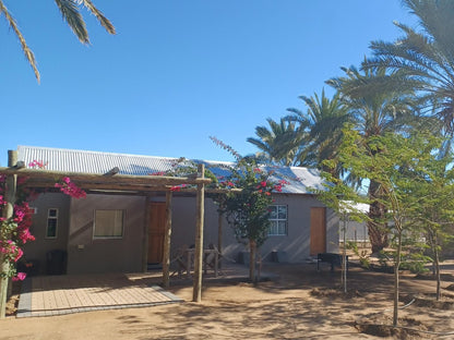 Gazelle Estate Kakamas Northern Cape South Africa Complementary Colors, Palm Tree, Plant, Nature, Wood