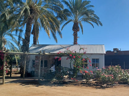 Gazelle Estate Kakamas Northern Cape South Africa Palm Tree, Plant, Nature, Wood