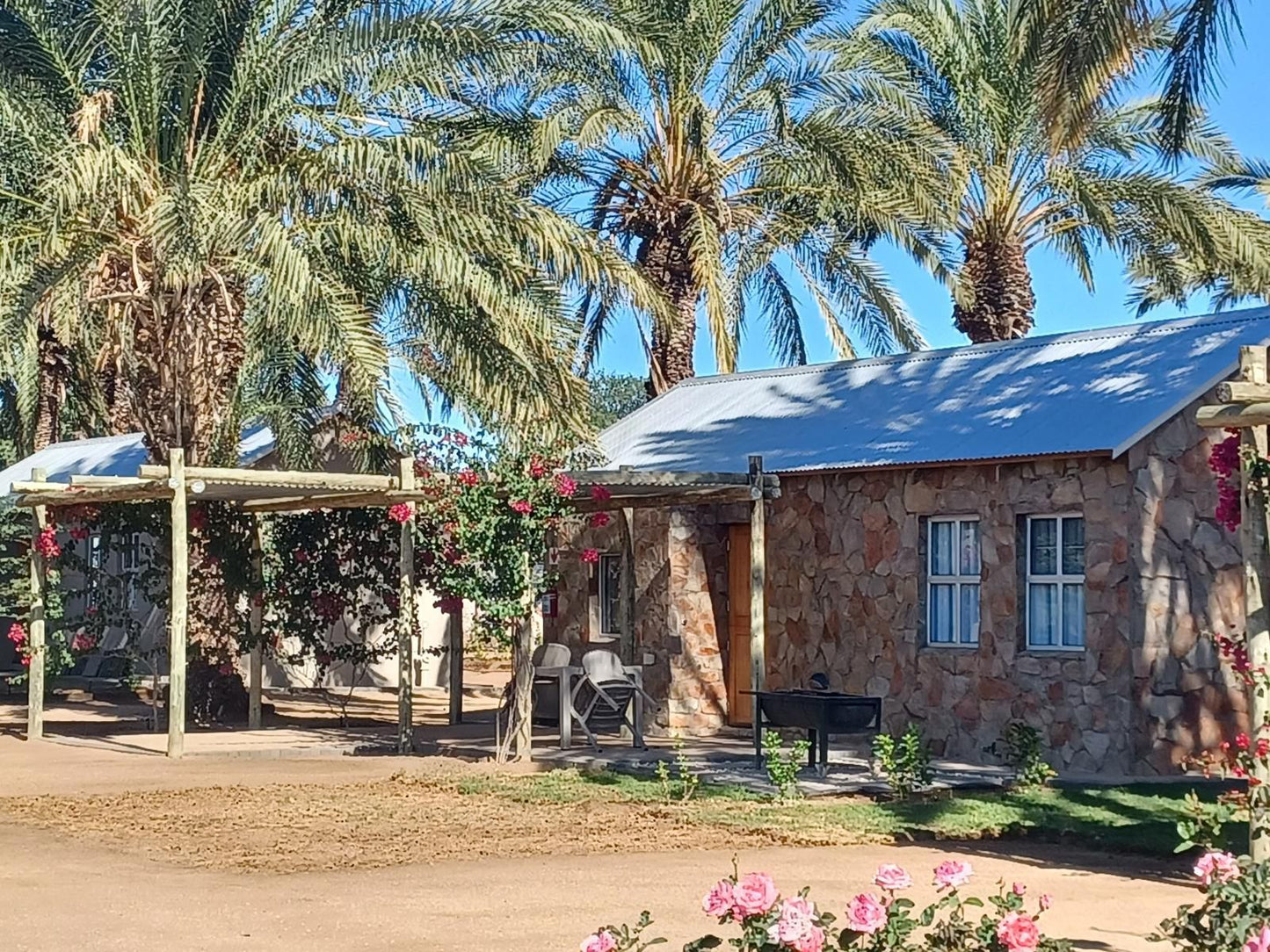 Gazelle Estate Kakamas Northern Cape South Africa Palm Tree, Plant, Nature, Wood