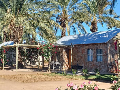 Gazelle Estate Kakamas Northern Cape South Africa Palm Tree, Plant, Nature, Wood