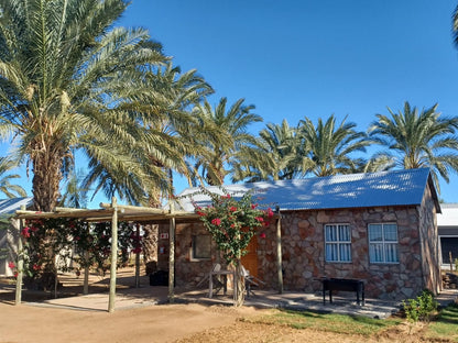 Gazelle Estate Kakamas Northern Cape South Africa Complementary Colors, Palm Tree, Plant, Nature, Wood